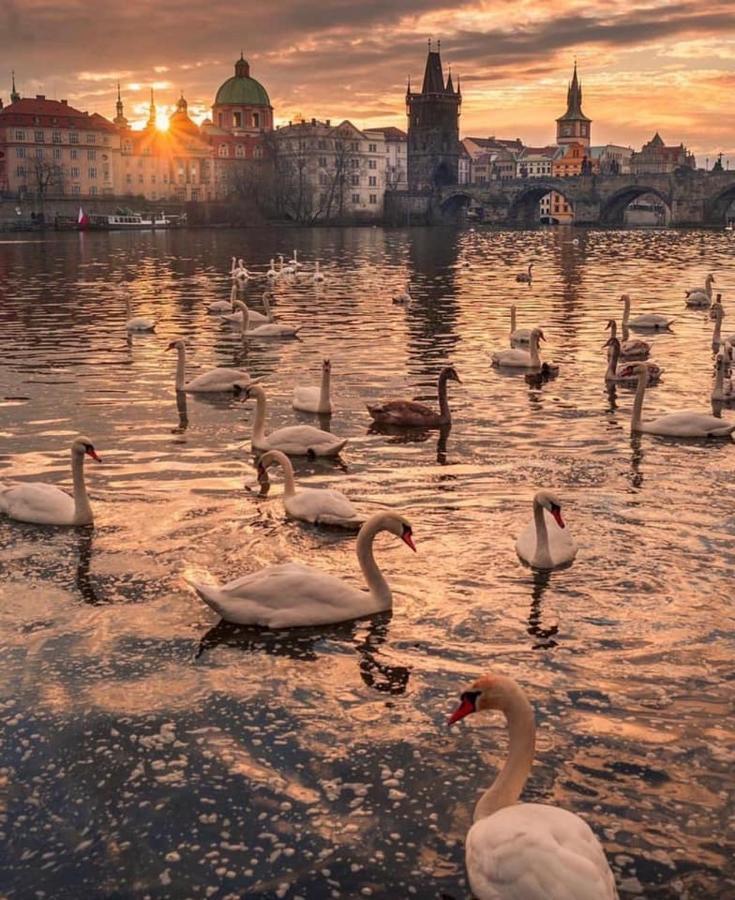 Blue Prague Aparthotel 3*