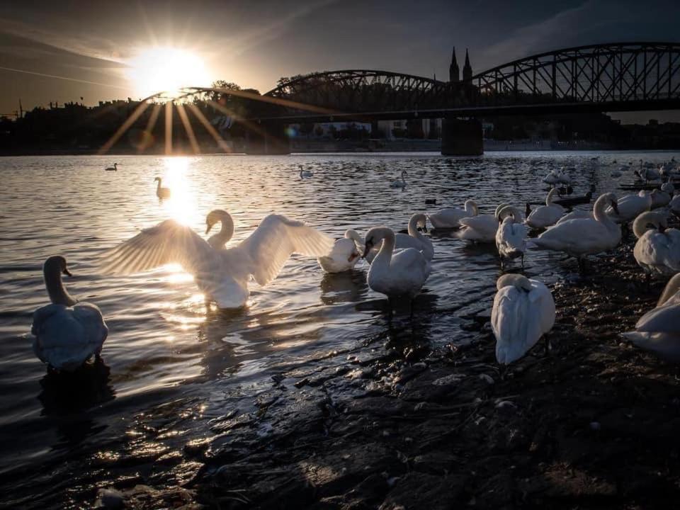 Blue Prague 3* Prag